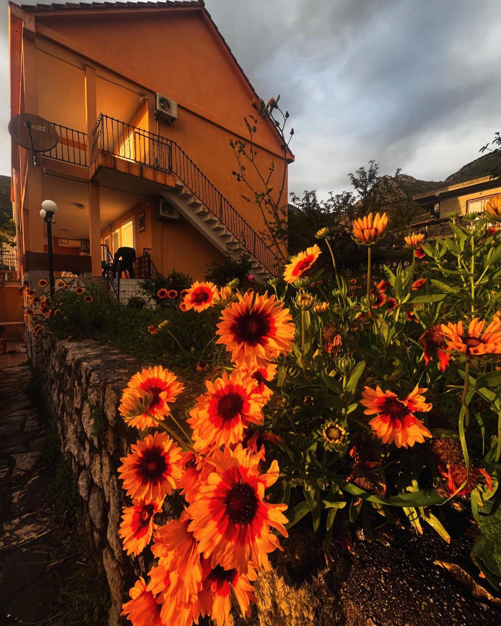 Apartments in villa Viktoria Sutomore Exteriör bild